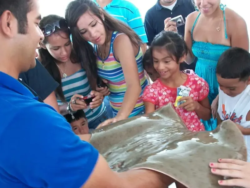 Hands-on marine life experience during a school field trip