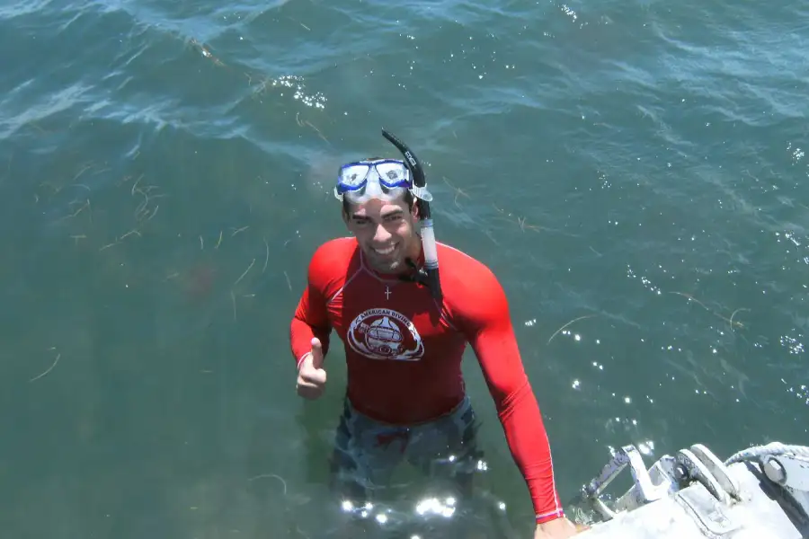 Guest snorkeling above seagrass and fish in the Laguna Madre