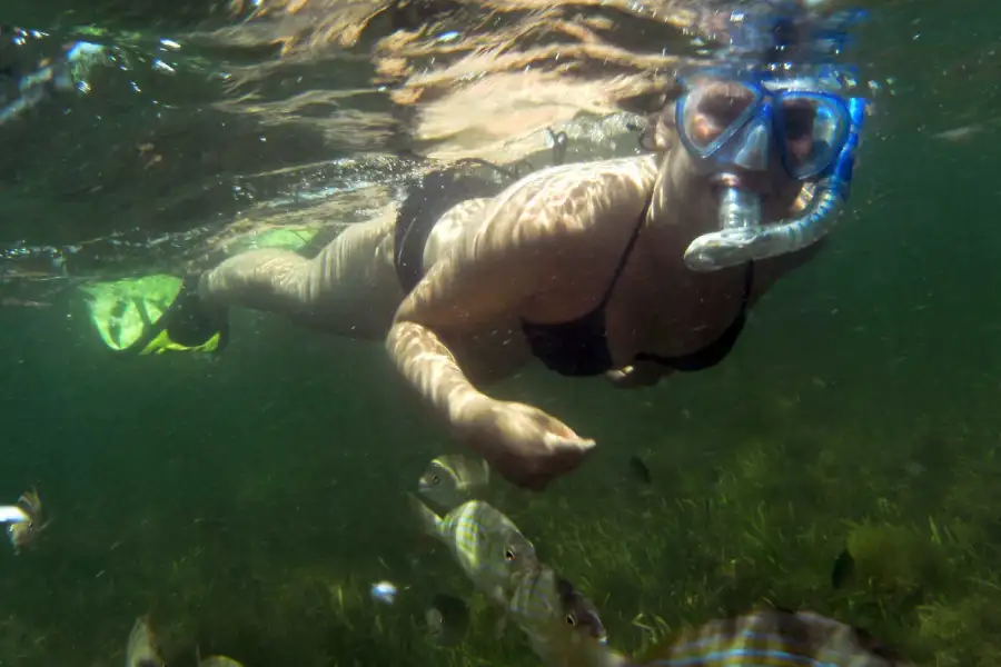 Snorkeling Adventure
