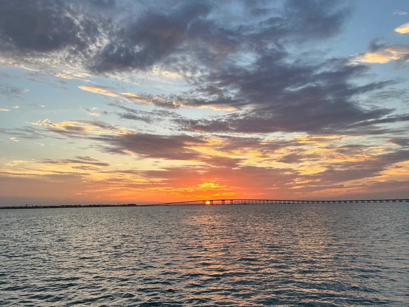 Sunset dolphin cruise in South Padre Island with ocean views