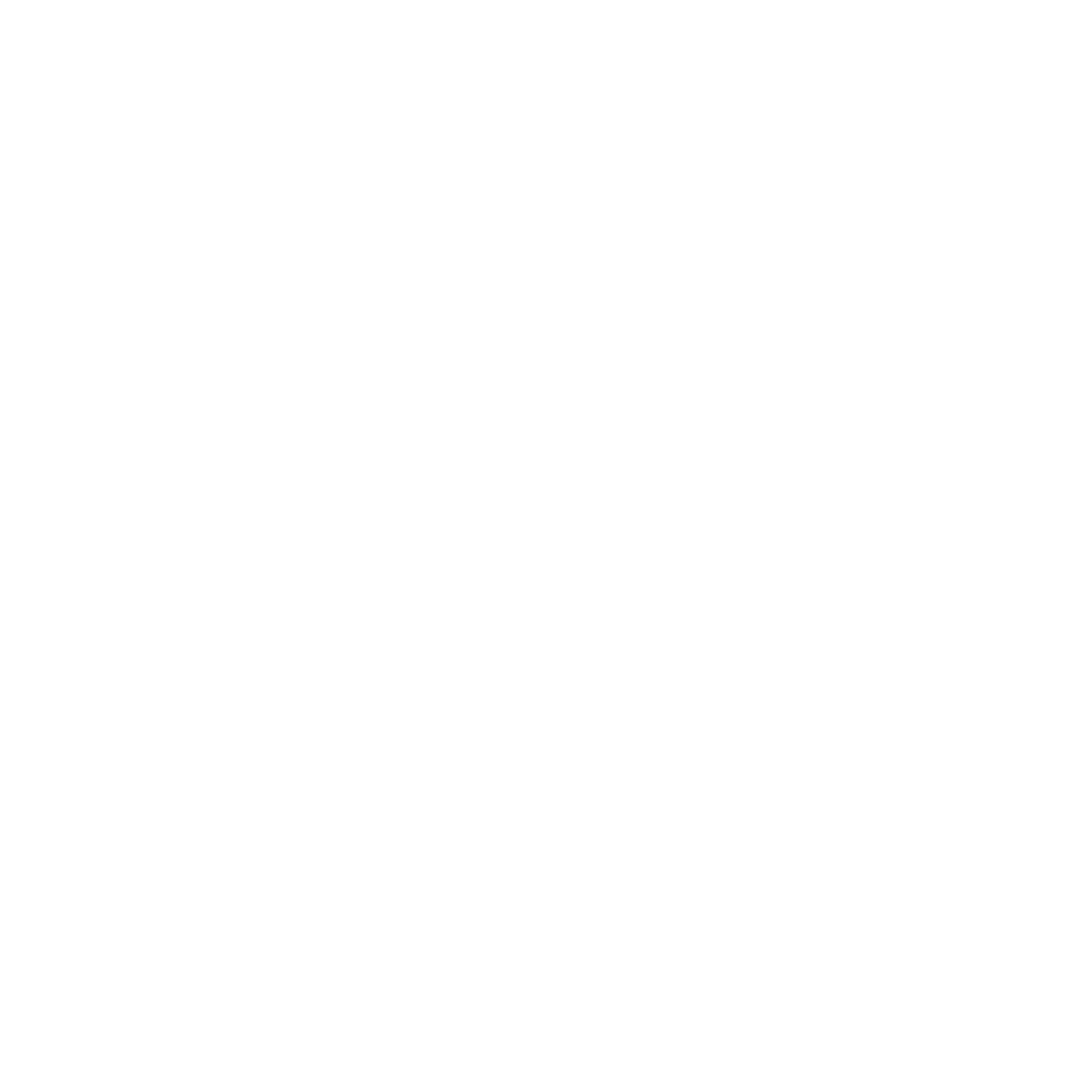 The Original Dolphin Watch
